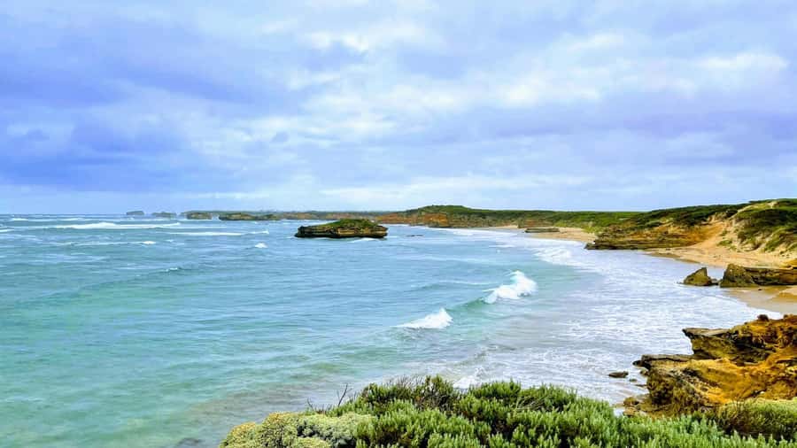 Melbourne: Great Ocean Road & Iconic Coastal Views Day Tour - Price and value: what $36 gets you on a long, busy route