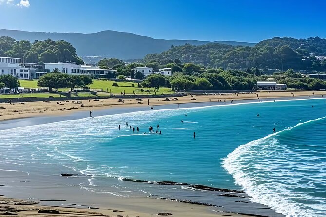 Melbourne: Great Ocean Road Luxury Coach Reverse Tour - Apollo Bay: the lunch break where the day breathes