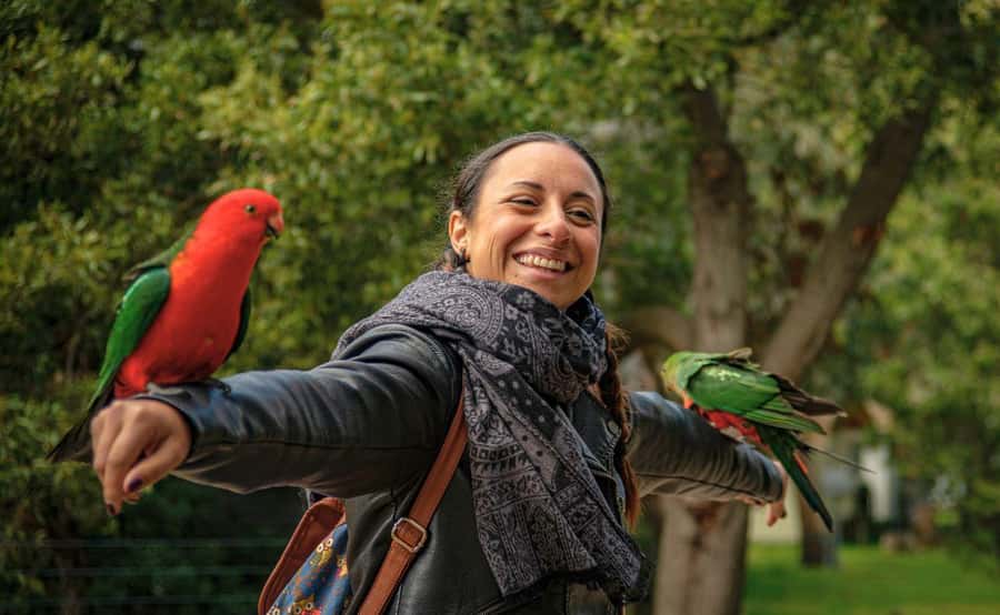 Melbourne: Great Ocean Road, Penguin Parade & Free City Tour - Who this trip fits best (and who might want another style)