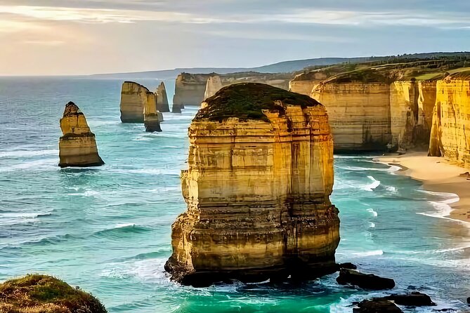 Melbourne Great Ocean Road Reverse Tour + London Bridge wildlife - Key Highlights You’ll Actually Care About