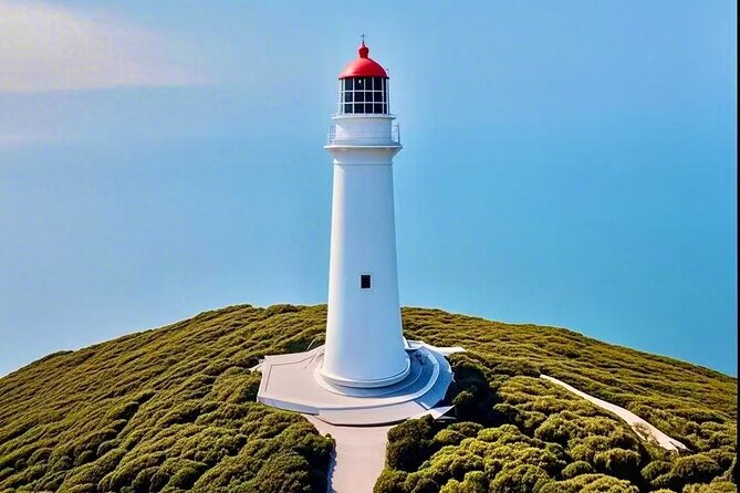 Melbourne Great Ocean Road Reverse Tour + London Bridge wildlife - The In-Between Park Break: Rainforest, Waterfalls, and Wildlife Chances