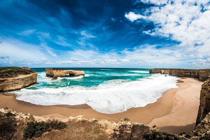 Melbourne: Great Ocean Road Tour with Maxi Highlights in One Day - Koalas Near Barham Paradise S.R.: A Short Stop That Needs Patience