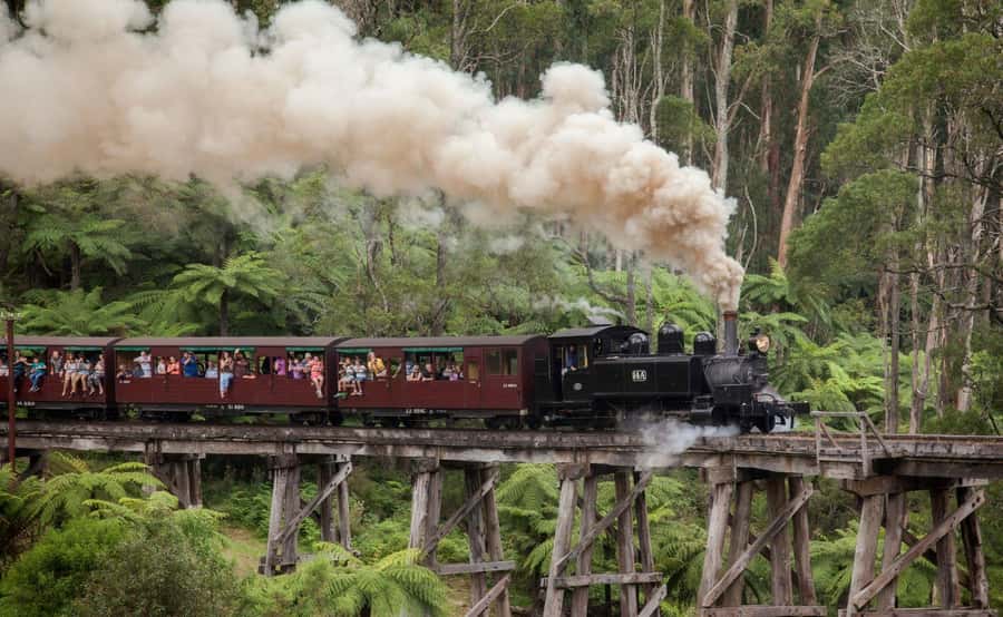 Melbourne: Half-Day Puffing Billy Steam Train Experience - Lakeside and Emerald Lake Park: A Calm Hour That Balances the Steam