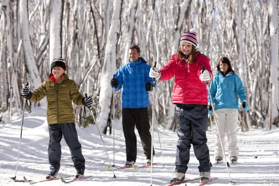 Melbourne: Lake Mountain Snow Day and Waterfalls & Chocolate - Who This Tour Fits Best (and Who Might Want a Different Plan)