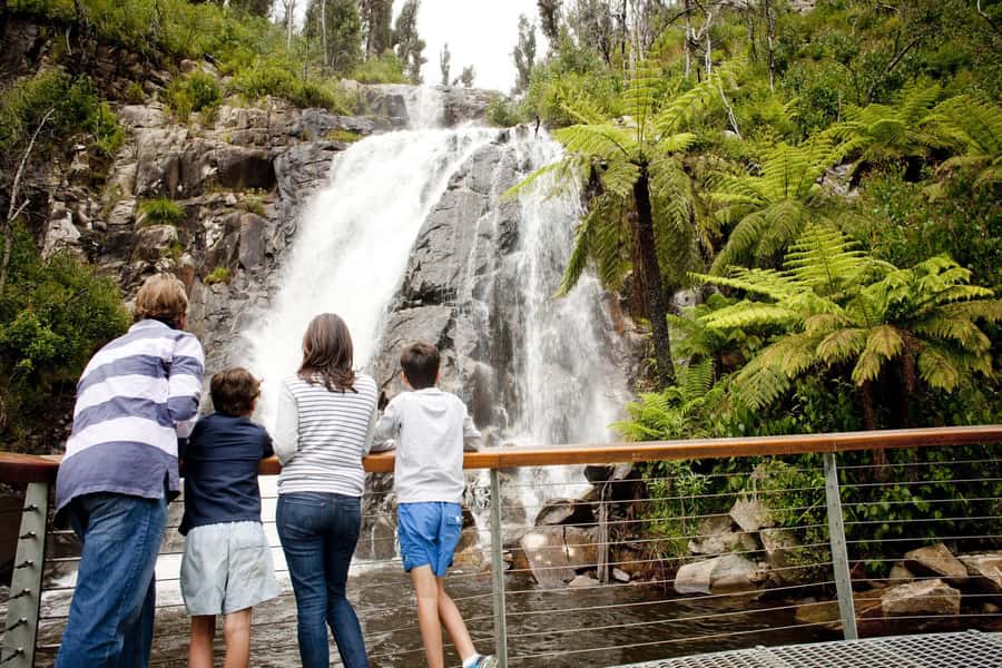 Melbourne: Lake Mountain Snow Day and Waterfalls & Chocolate - Tobogganing and Snow Play: Choose Your Comfort Level