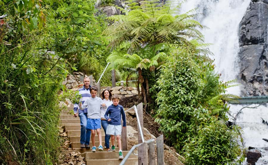 Melbourne: Lake Mountain Snow, Waterfall & Chocolaterie Tour - Price of $123: what you get, what you need to budget for