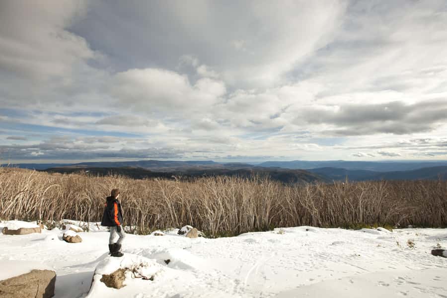 Melbourne: Lake Mountain Snow, Waterfall & Chocolaterie Tour - Pickup, timing, and Wi-Fi: the ride part that actually matters