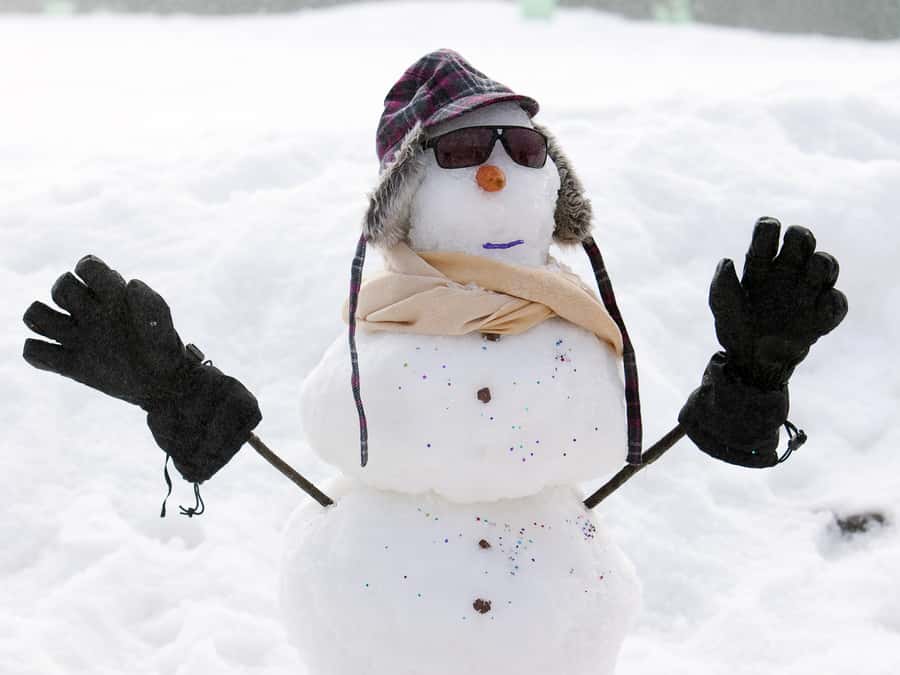 Melbourne: Lake Mountain Snow & Waterfalls Guided Tour - Lake Mountain Snow Play: 3 Hours That Work for Kids and First-Timers
