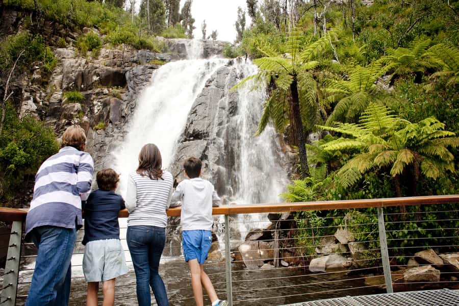 Melbourne: Lake Mountain Snow & Waterfalls Guided Tour - Who This Tour Fits Best