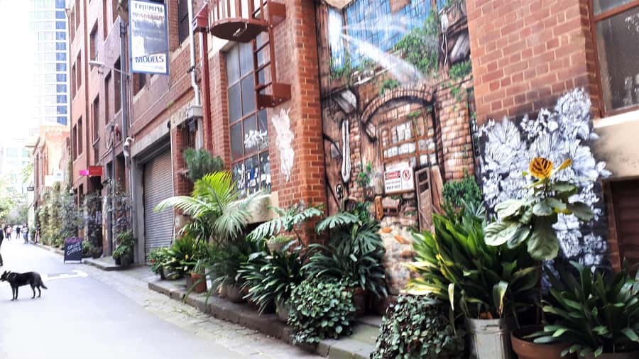 Melbourne Laneways Tour - The coffee stop: a smart break, not an interruption