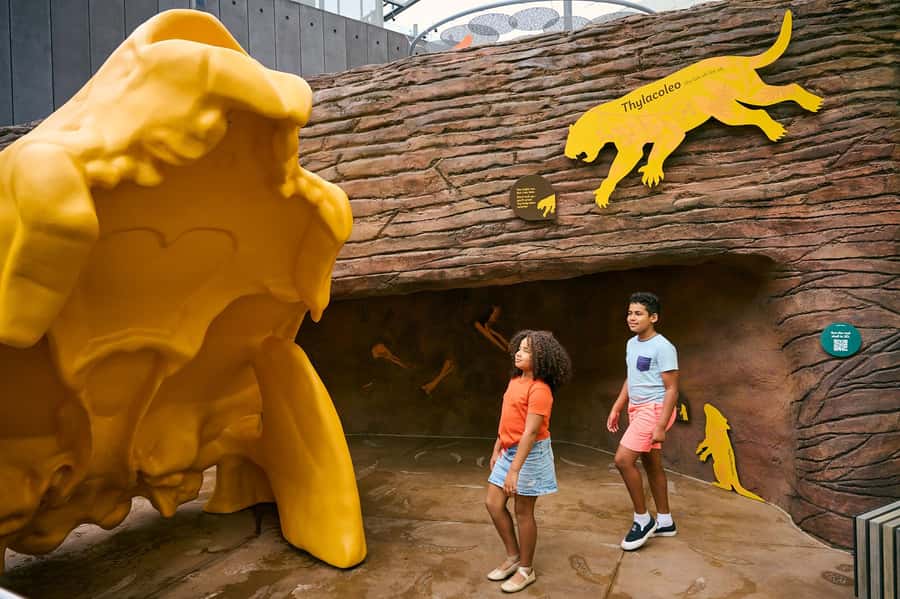 Melbourne: Melbourne Museum Entry Ticket - Key Points You’ll Notice Fast