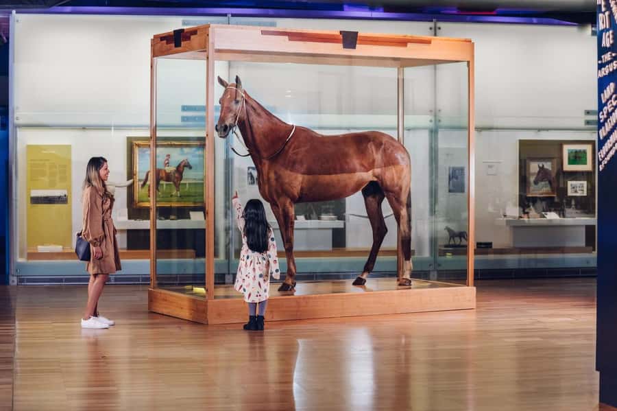 Melbourne: Melbourne Museum Entry Ticket - Melbourne Gallery and Phar Lap: City History You Can Actually Feel
