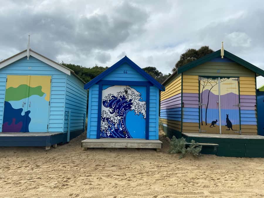 Melbourne: Moonlit Sanctuary and Brighton Beach Boxes Tour - What the Animal Time Feels Like (Koalas, Kangaroos, and the Rest)