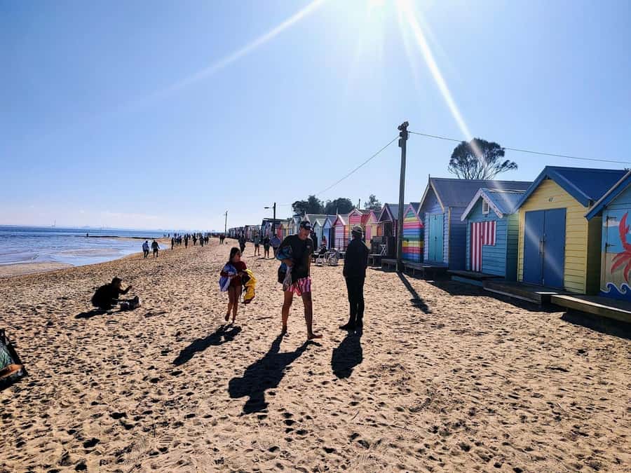 Melbourne: Moonlit Sanctuary and Brighton Beach Boxes Tour - Moonlit Sanctuary in the Best Way: Two Hours That Actually Fit