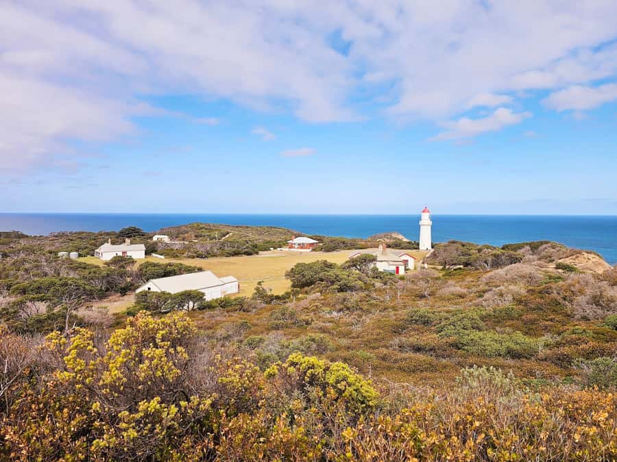 Melbourne: Mornington Peninsula Southern Coast Discovery - The Sorrento break: Sorrento Sipper plus 30 minutes to wander