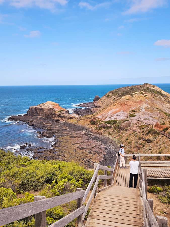 Melbourne: Mornington Peninsula Southern Coast Discovery - Getting value from an $88 day: what’s included (and what’s not)