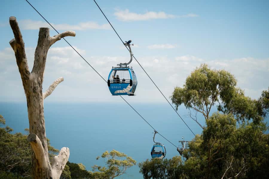 Melbourne: Mornington Peninsula Southern Coast Discovery - Who should book this Mornington Peninsula tour