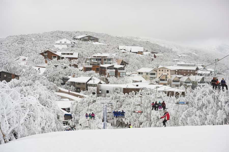 Melbourne: Mt Buller Snow Tour-Save on Hire & True 5 Hrs Fun - Who should book this Mt Buller snow tour?