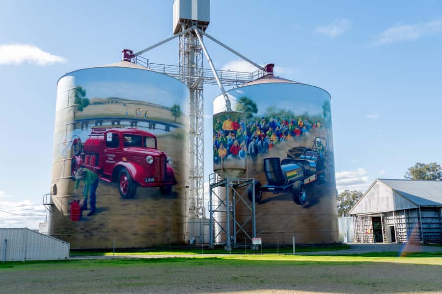 Melbourne: Murray River Paddle Steamer, Wildlife & Silo Art - Echuca Stop and Lunch Time: How the Free Time Actually Feels