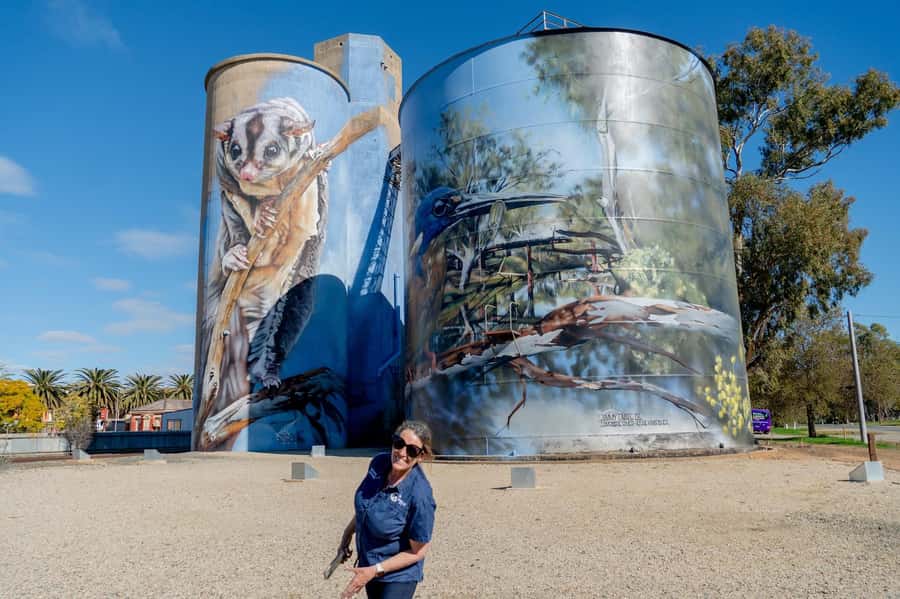 Melbourne: Murray River Paddle Steamer, Wildlife & Silo Art - Pink Cliffs Reserve: Mineral Clay Colors and That Other-World Feeling