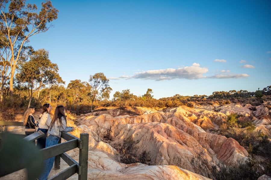 Melbourne: Murray River Paddle Steamer, Wildlife & Silo Art - Who This Tour Is Best For (and Who Might Prefer Something Else)