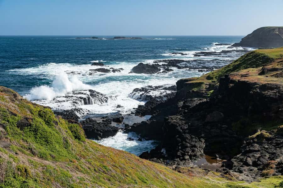 Melbourne: Penguin Parade & Phillip Island Scenic Day Tour - A 10-hour coach day that actually feels organized