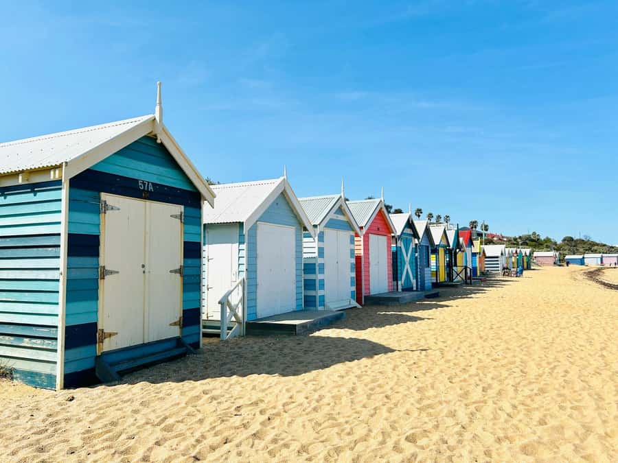 Melbourne: Penguin Parade & Phillip Island Scenic Day Tour - Price and value: what $84 covers and what you should budget