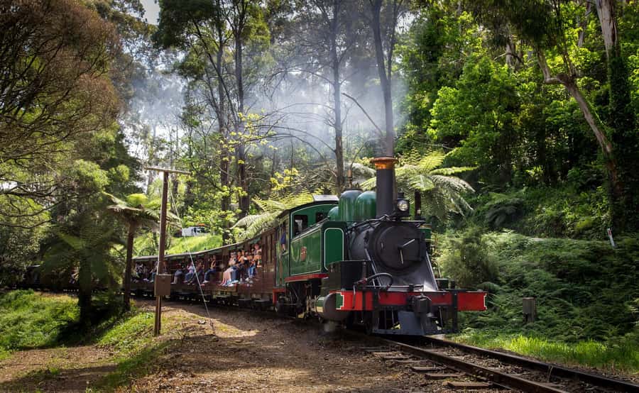 Melbourne: Penguin Parade Tour with Puffing Billy Train Ride - Puffing Billy’s steam train: the part you’ll remember