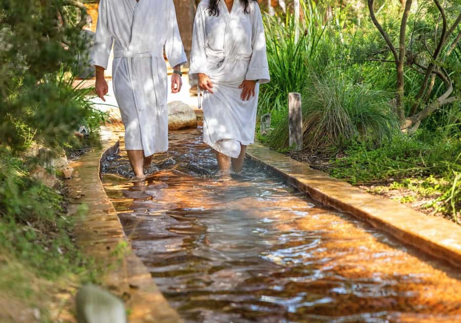Melbourne: Peninsula Hot Springs with Lunch and Wine - Key highlights worth your attention