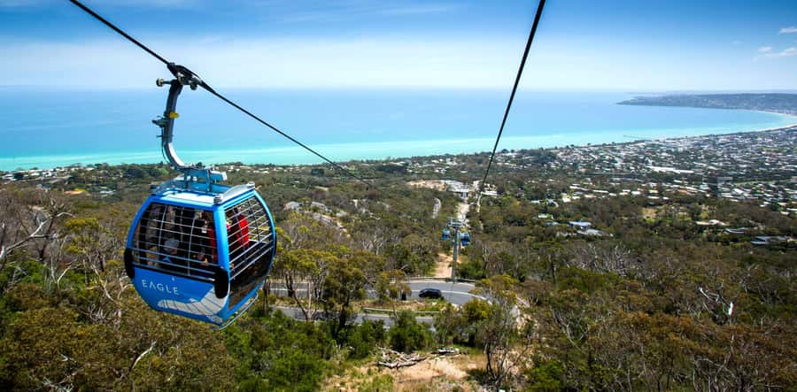 Melbourne: Peninsula Nature Private Day Trip with Dinner - The Eagle Chairlift at Arthurs Seat: High Views, Quick Breathing Room