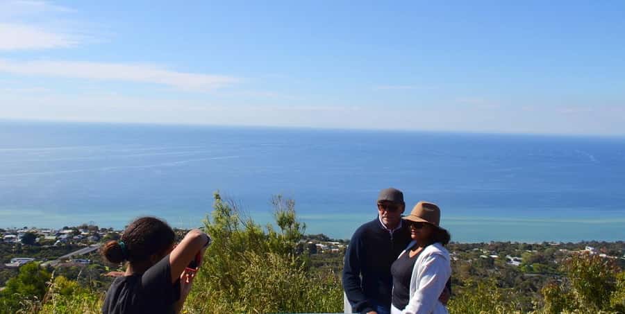 Melbourne: Peninsula Sightseeing Driving Day Tour - What $176 buys: private time, real access, and a tight 4-hour circuit