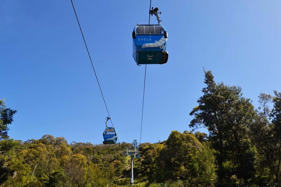Melbourne: Peninsula Sightseeing Driving Day Tour - Practical tips before you go