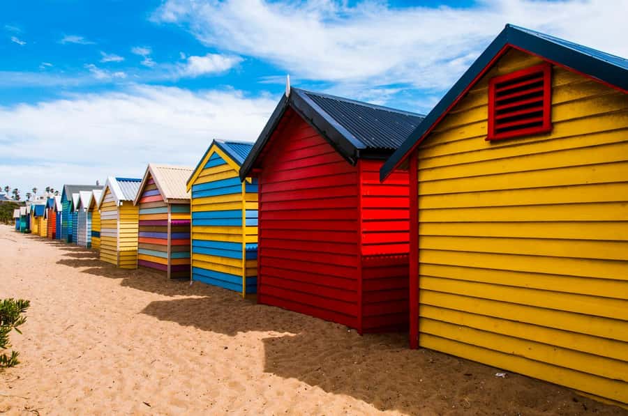 Melbourne: Phillip Island Penguin Parade Watching Day Tour - Should you book it? My decision guide