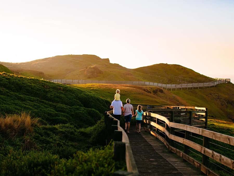 Melbourne: Phillip Island Private Trip, Penguin and Wildlife - Key highlights to look for