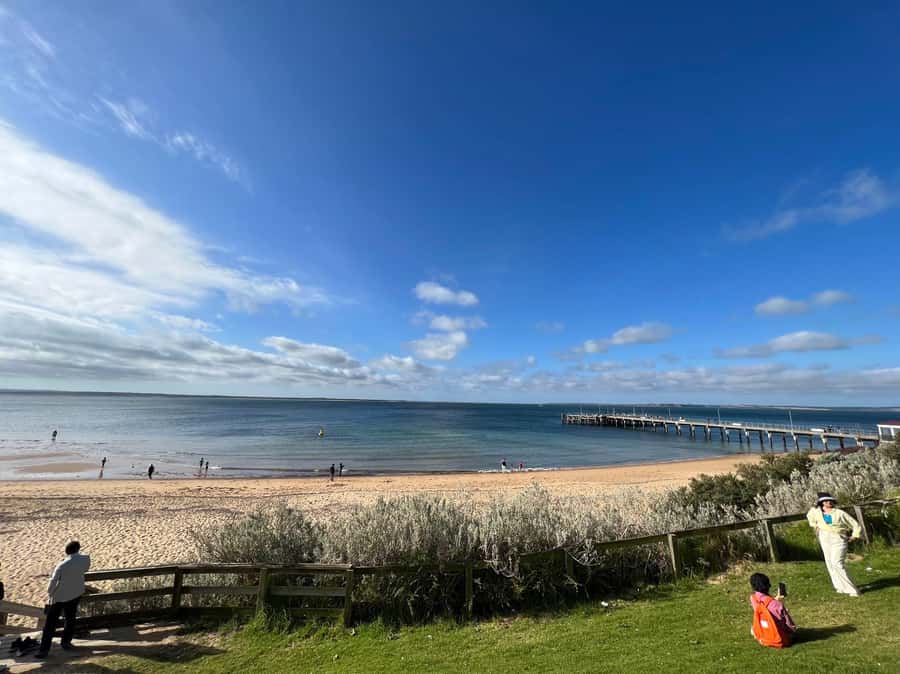 Melbourne: Phillip Island Private Trip, Penguin and Wildlife - Group size and vehicle setup: why it matters on a long day