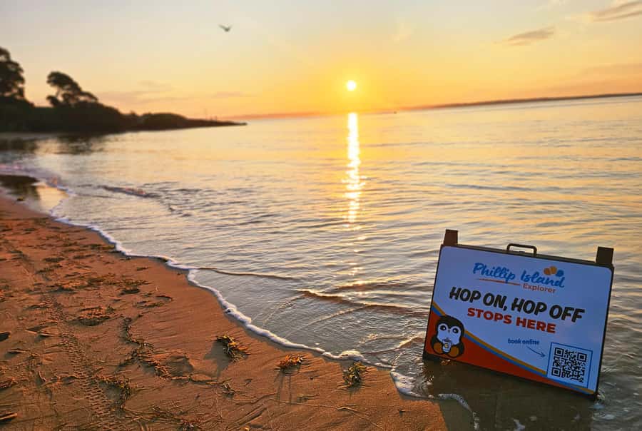 Melbourne: Phillip Island Tour w/ Hop-on Bus or Seal Cruise - Golden Hour at The Nobbies: sparkling wine, boardwalks, and cliff views