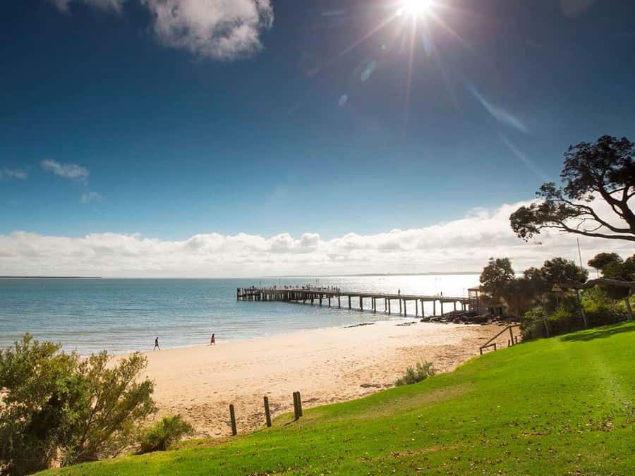 Melbourne: Phillip Island Tour w/ Hop-on Bus or Seal Cruise - What the long day feels like in practice (and how to prepare)