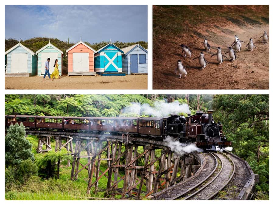 Melbourne: Puffing Billy Penguin Parade Brighton Boxes Tour - Key highlights that make this day trip worth your time
