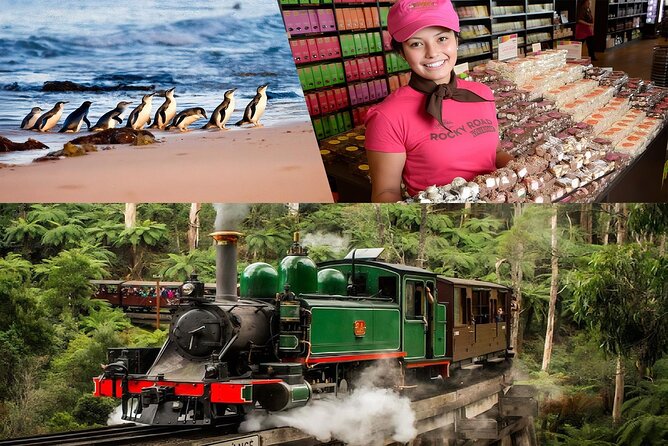Melbourne Puffing Billy Penguin wine choc(16 max) Hotel Pick Up - Key highlights you’ll feel the most