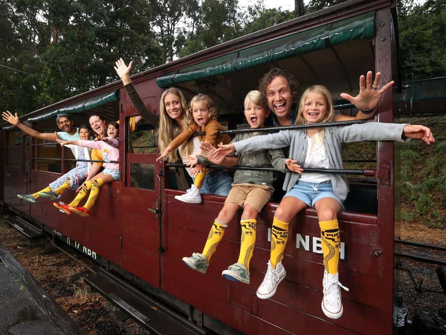 Melbourne Puffing Billy & Penguins Day Tour - Puffing Billy steam train in the Dandenong Ranges