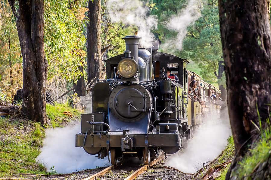 Melbourne Puffing Billy & Penguins Day Tour - The Nobbies Center: cliffs over Bass Strait and seal sightings