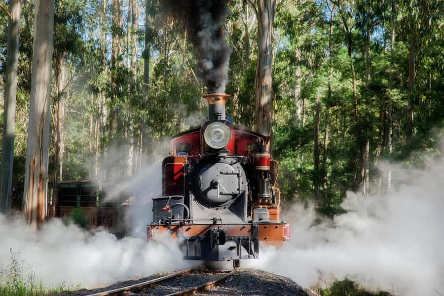 Melbourne Puffing Billy & Penguins Day Tour - Who this tour suits best