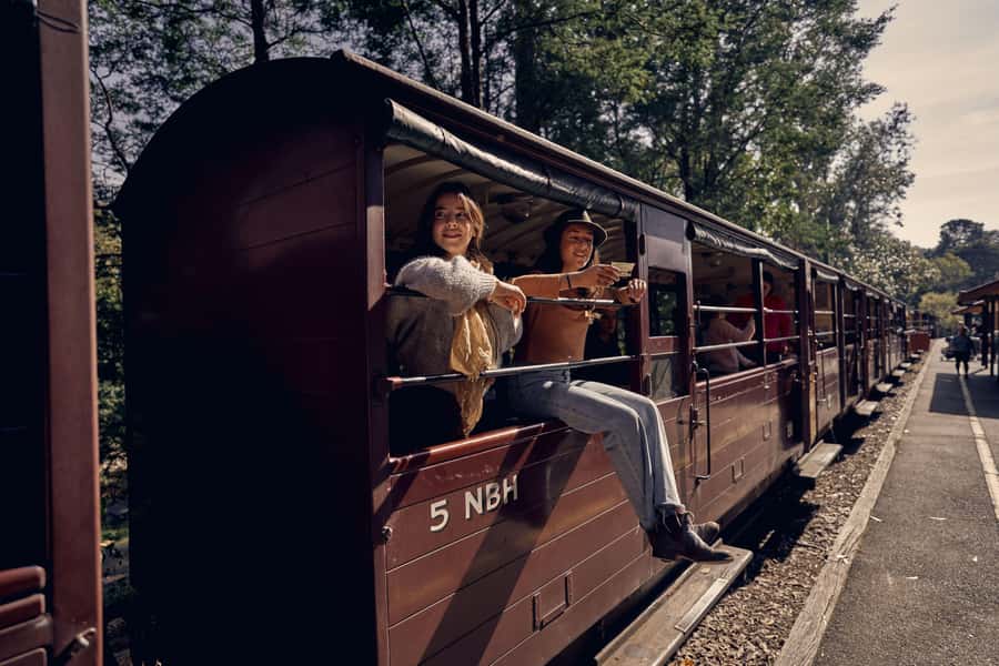 Melbourne: Puffing Billy Railway & Penguin Parade Day Tour - Key highlights to look for