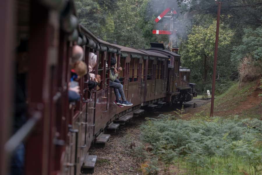 Melbourne: Puffing Billy Railway & Penguin Parade Day Tour - Guides and how the day runs on the ground