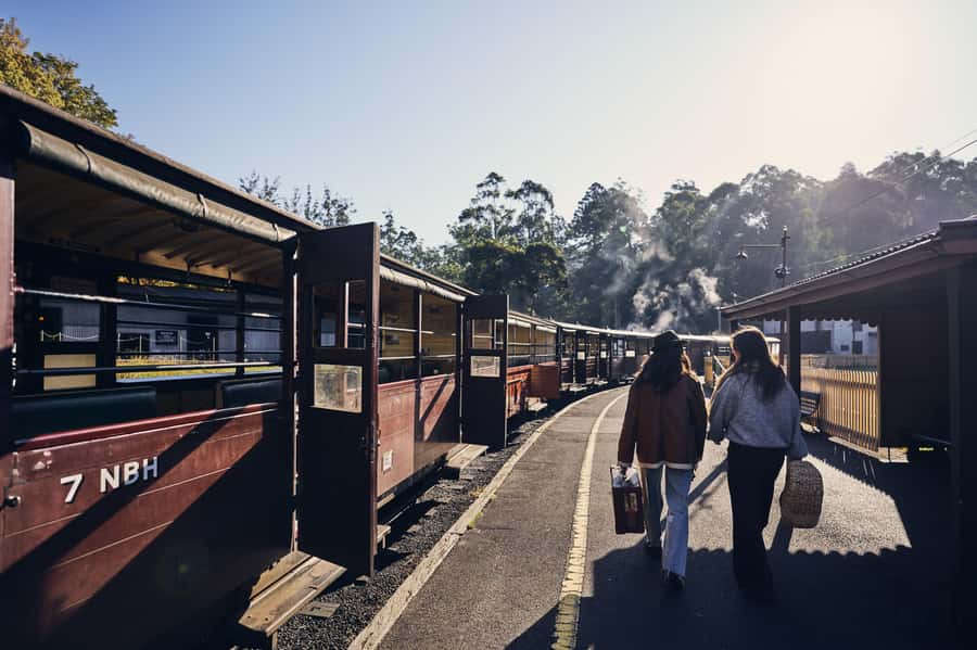 Melbourne: Puffing Billy Railway & Rainforest Tour - Quick takeaways