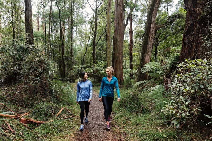 Melbourne: Puffing Billy Railway & Rainforest Tour - Packing and weather: what to wear for open-air train time