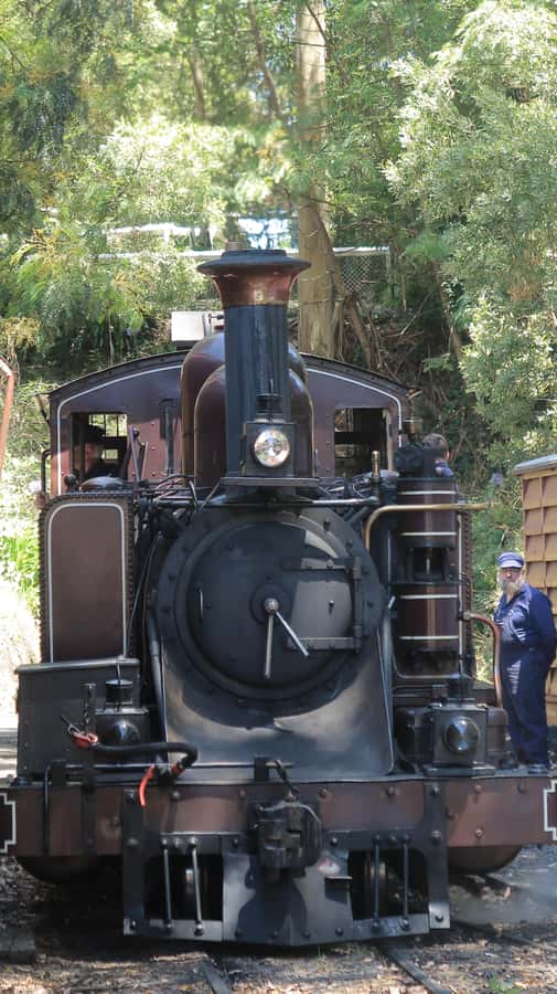 Melbourne: Puffing Billy Train and Penguin Island Day Tour - Melbourne Pickup Time: Where the Day Starts