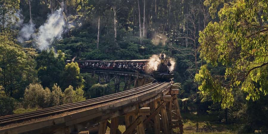 Melbourne: Puffing Billy Train & Healesville & Winery Tour - Brighton Beach Bathing Boxes: your quick start in classic Melbourne style