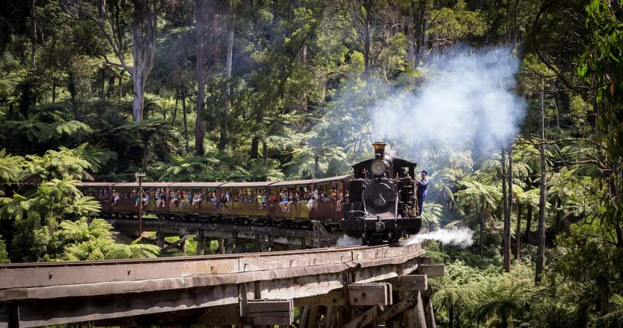 Melbourne: Puffing Billy Train & Penguin Island Excursion - Key Things to Love on This Melbourne to Phillip Island Day