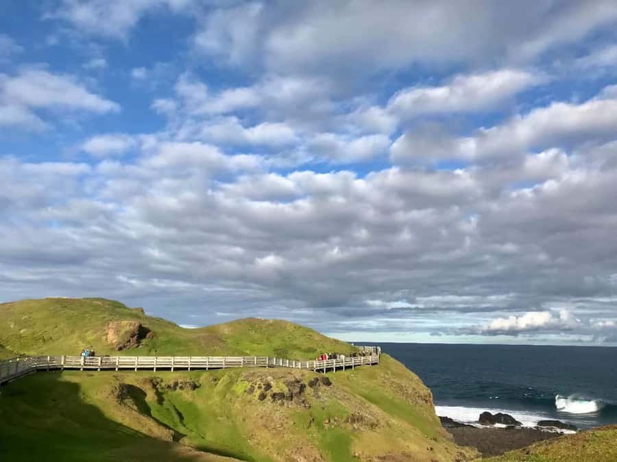 Melbourne: Puffing Billy Train & Penguin Island Excursion - Brighton Beach Rainbow Huts: A 30-Minute Color Hit (Maybe)